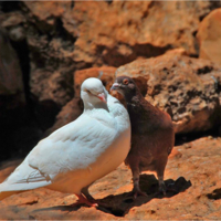 Ну что Вы! Не надо!! Я стесняюсь....