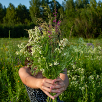 Это Вам! А за что? Просто так!