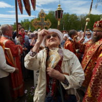 Без названия