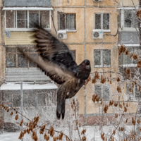 Выходи горку строить!!!