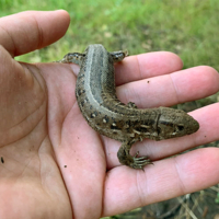 Надежная опора