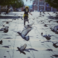 Слова улетели стаей вспугнутых голубей.