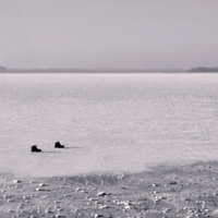 Человек-невидимка