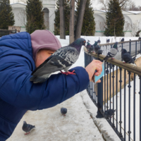 "Опять ты горизонт завалил!"