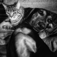 Мягко на Батоне