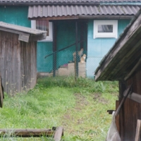 Давно сидят