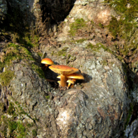 Выбрали местечко