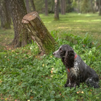 В одном направлении...