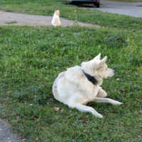 Мы с тобой одной масти