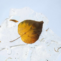 Причуды межсезонья