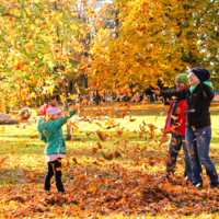 золотая пора