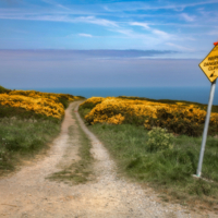 Ты туда не ходи, совсем мёртвый будешь