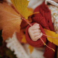 Первая осень