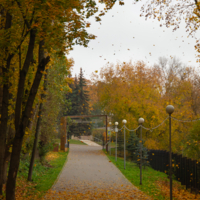 Пора листопада