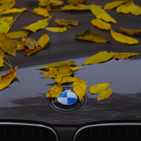 Могу назвать слово сразу!