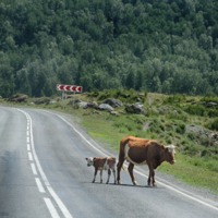 Куда на "лево". Я по правилам!