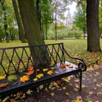 Осенний Михайловский сад