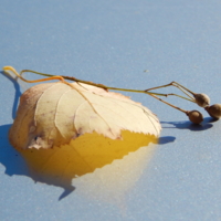 Совсем устал, совсем упал