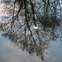 последний из могикан