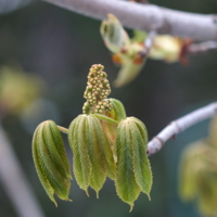 и весна бывает холодной