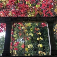 Самые яркие краски перед тем, как...