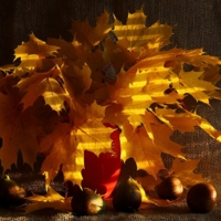 Осенний с инжиром