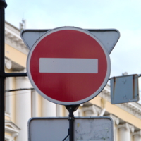 Мне идут ушки?)