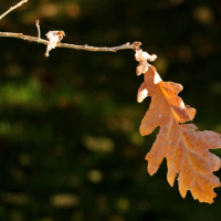 Одиночество