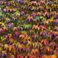 Сентябрьский тетрис