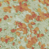 листопадал листопад