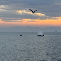 "Над седой равниной моря"