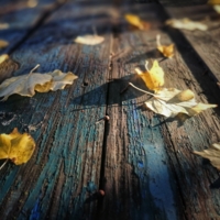 Письмо в пустоту