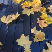 Опавшие листья-прощальный подарок осени.