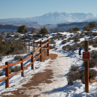 Дальше только пешком