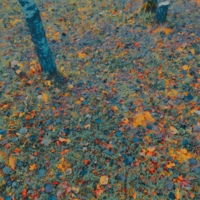 сегодня осенью сентябрь