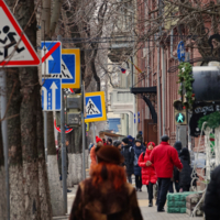 Буквально все заполонили