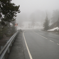 Может ну его, домой вернёмся?