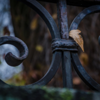 Вечность и быстротечность.