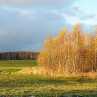 Отговорила роща золотая...
