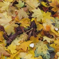 Вальс Бостон.