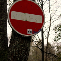 Уже и в лес нельзя...