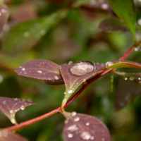 Ой, сейчас упаду.