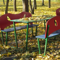 Осыпались листья...