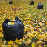 Осенний ковёр