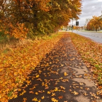 Осенняя перспектива