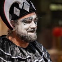 Трудные будни шута