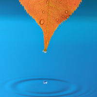 Приметы осени.