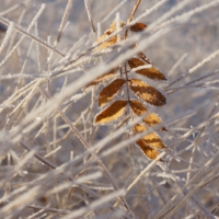 Задержался