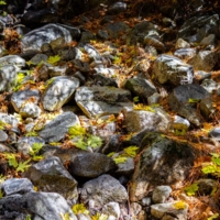 Свет и цвет