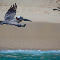 Отдать швартовы!